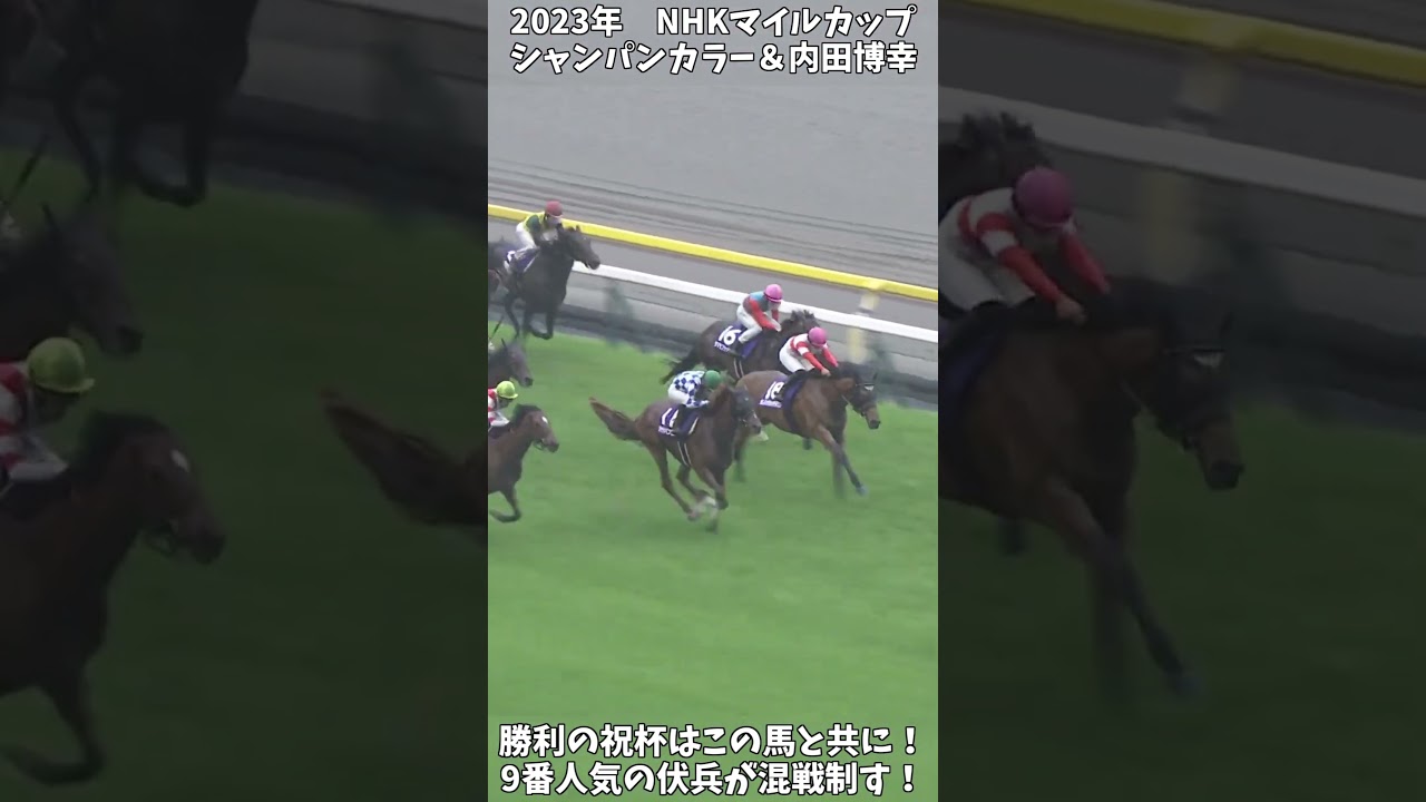 【競馬】『シャンパンカラー』勝利の祝杯はこの馬と共に！【NHKマイルカップ】 #short