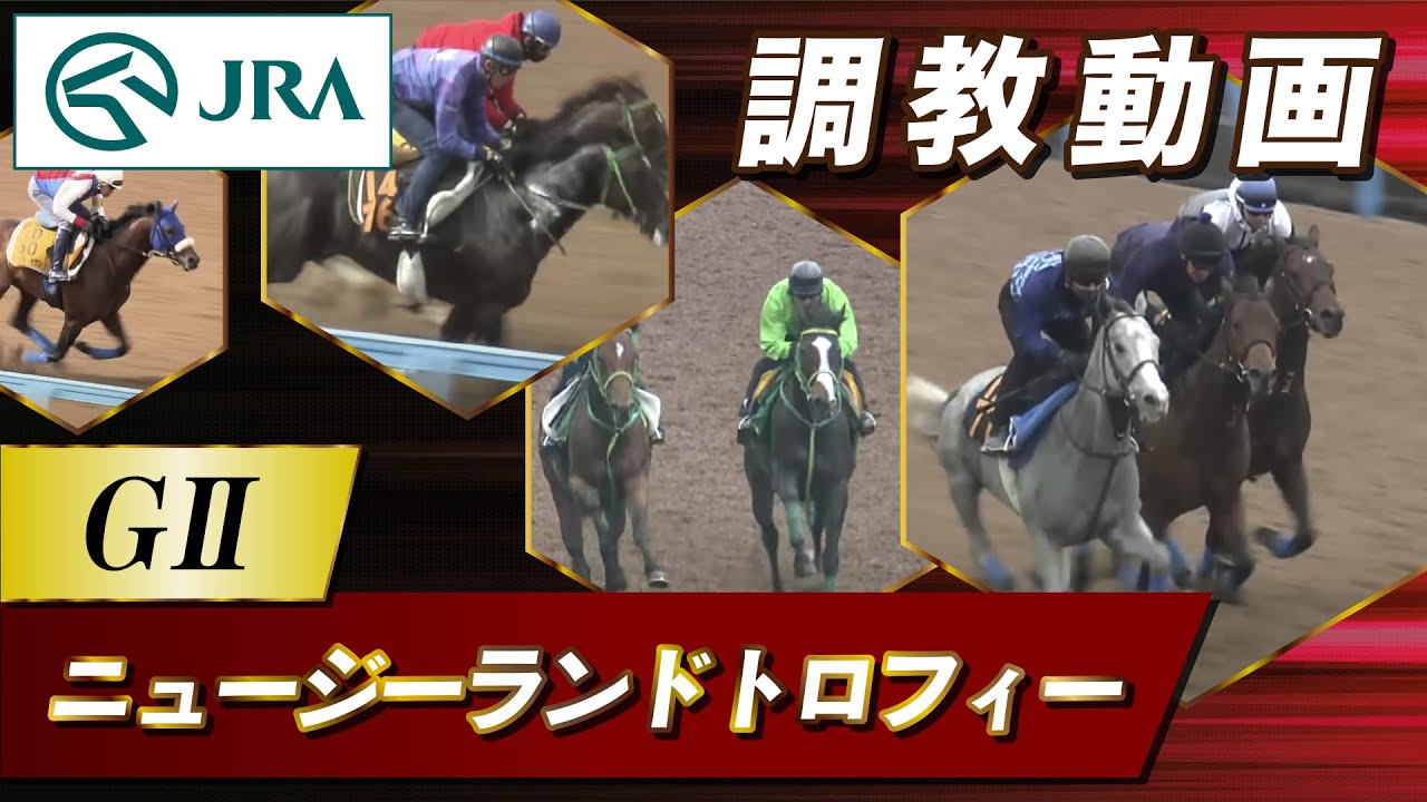 【調教動画】2023年 ニュージーランドトロフィー｜JRA公式
