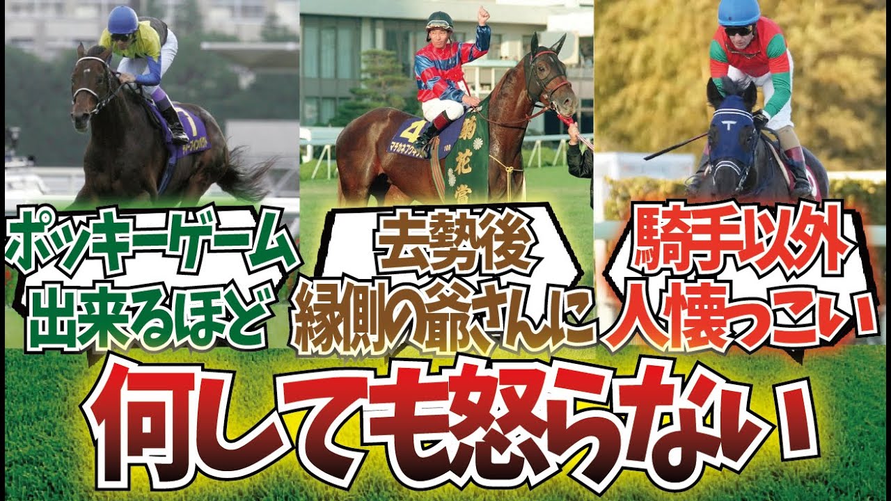 「気性が大人しい会開催」に対するみんなの反応集