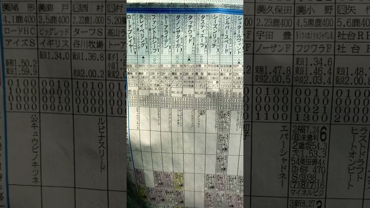 競馬予想🏇　共同通信杯　タッチウッド、タス￼￼￼ティエーラ