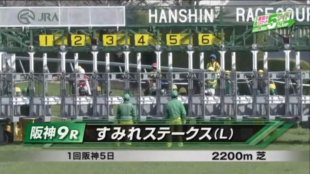 すみれステークス(L)［2023.2.25 阪神第9R/2200m 芝］