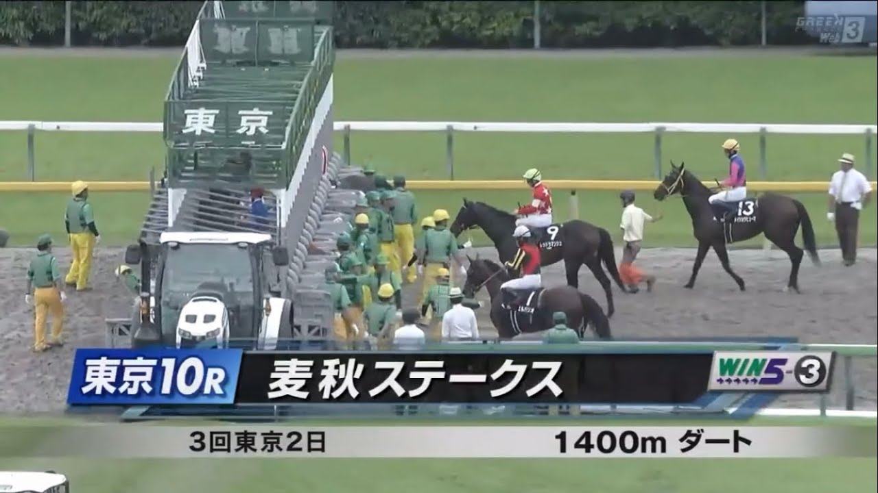 麦秋ステークス［2023.6.4 東京第10R/1400m ダート］
