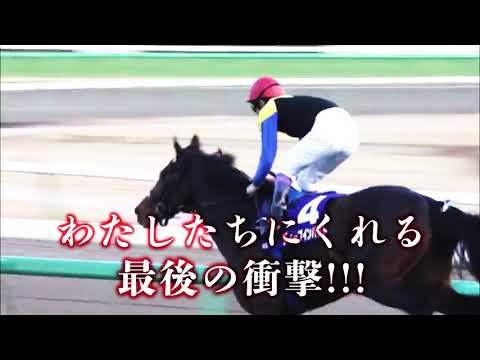 ディープインパクト 現役ラストラン 【2006年 有馬記念】