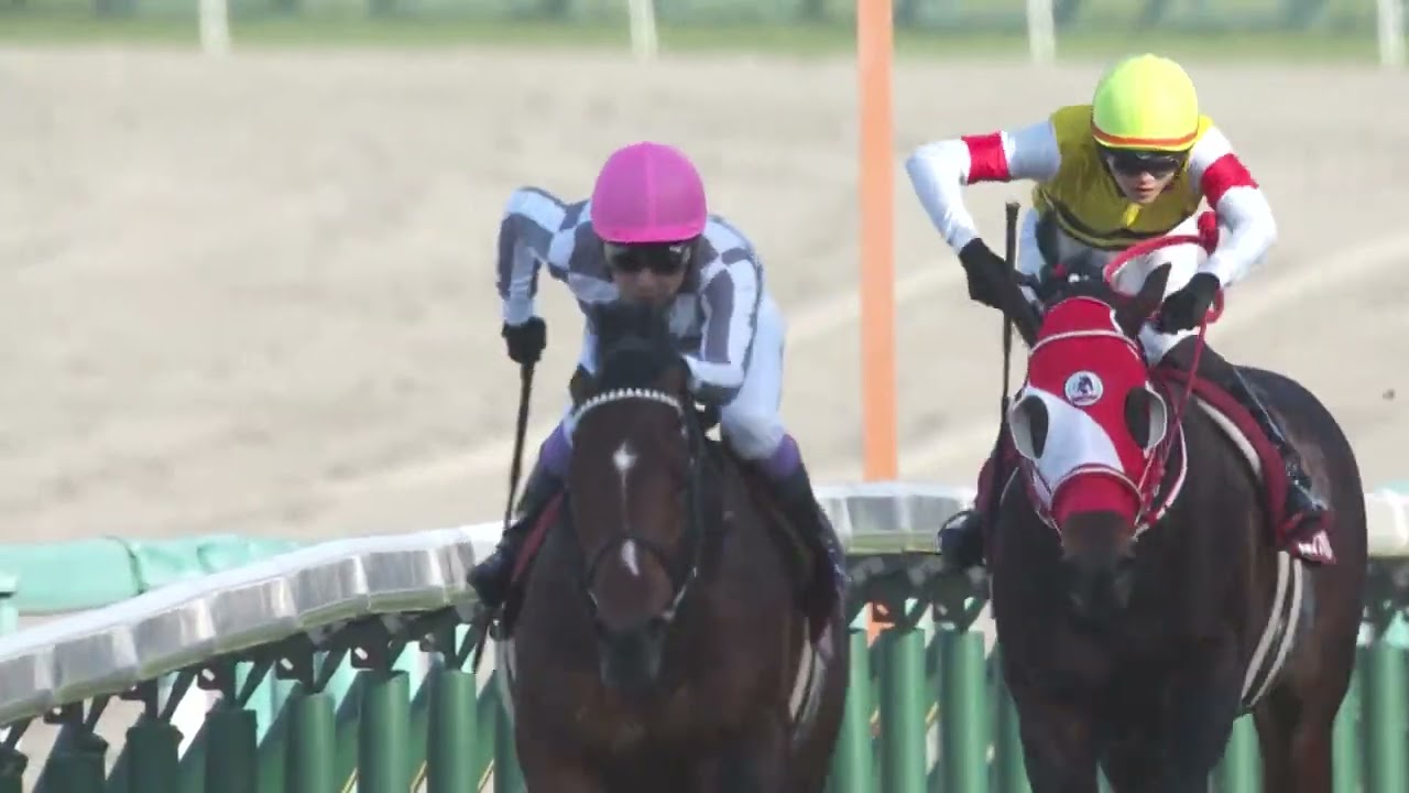 【京都記念・GⅡ】勝利騎手インタビュー 武豊騎手