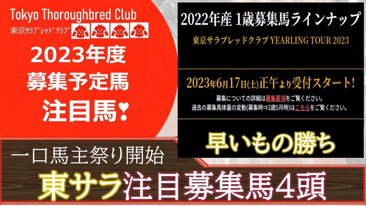 【一口馬主】東サラ募集馬！今年の注目馬４頭も今年は先着順なんですよね・・・既存会員にとっては厳しい改正でした。