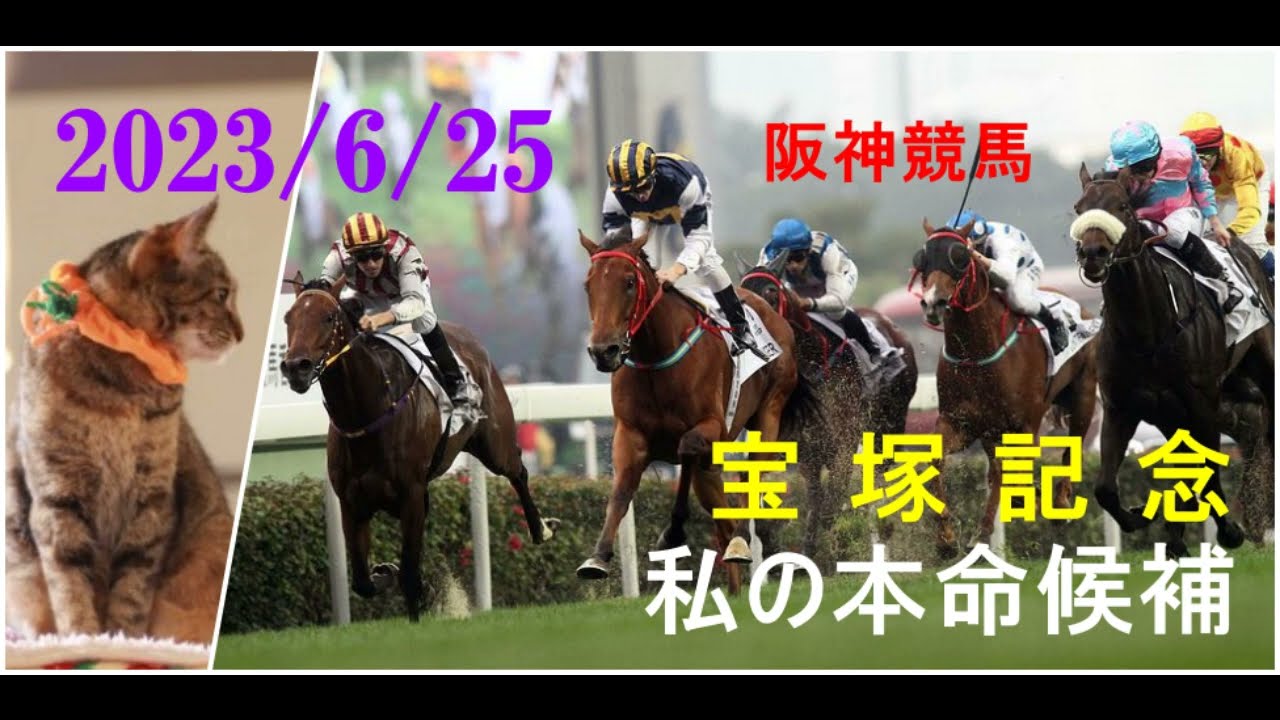 2023/6/25　阪神競馬　宝塚記念（ＧⅠ）私の本命候補