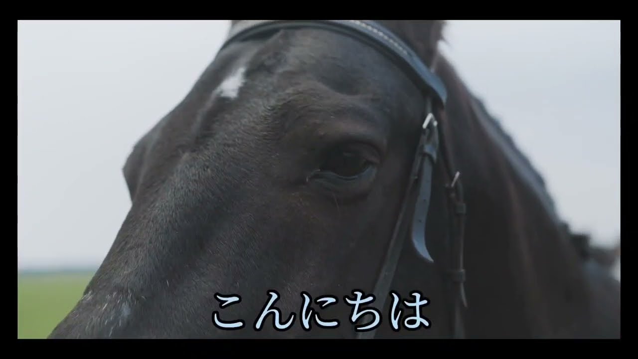 【宝塚記念2023】🎯宝塚記念のAI予想！🎯宝塚記念をAIは５点で挑む！🎯AIは宝塚記念を当てるのか？外すのか？是非ご覧ください！🎯　#宝塚記念　#宝塚記念2023 #AI予想　#競馬AI予想