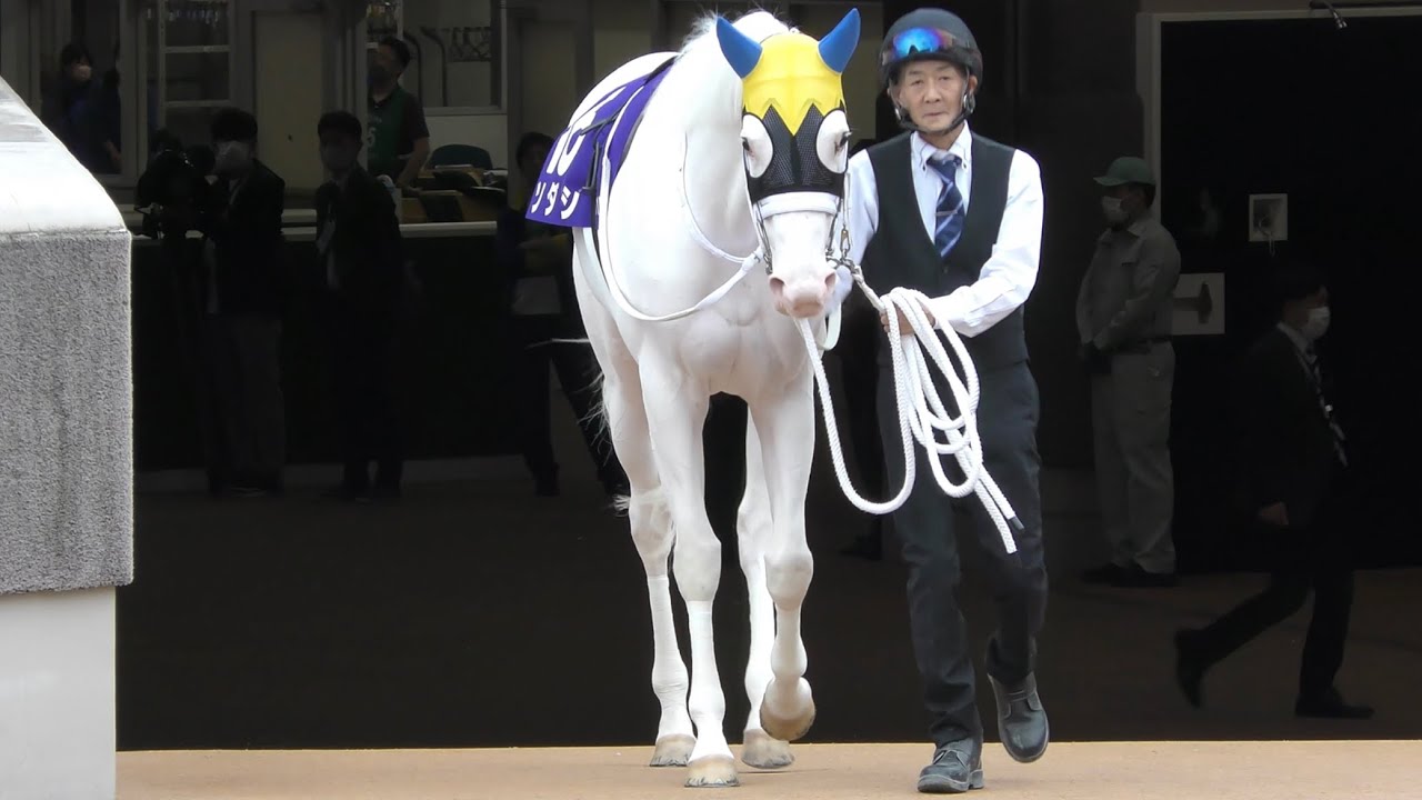 【ヴィクトリアマイル2023】ソダシと今浪さんがパドック入場したら感嘆の声が漏れてしまう競馬民たち