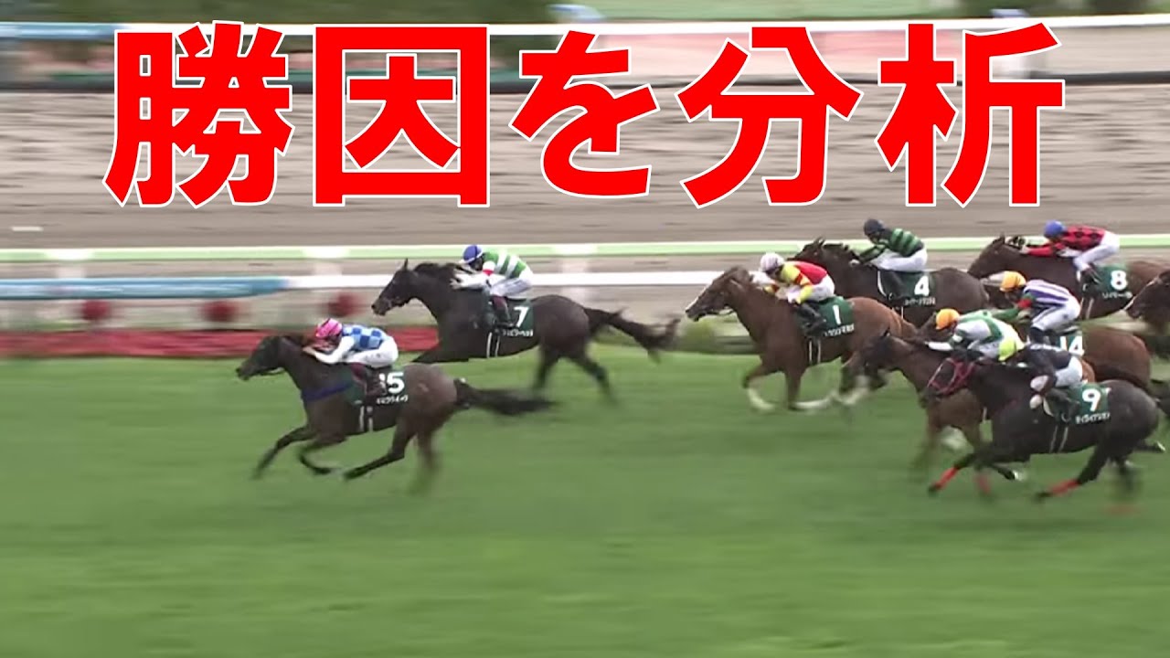 函館スプリントステークス 回顧  2023　新味を出した馬、評価したい馬