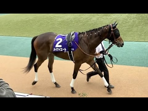 メイケイエール　おしゃれ番長のランウェイ　安田記念2023 パドック　東京競馬場