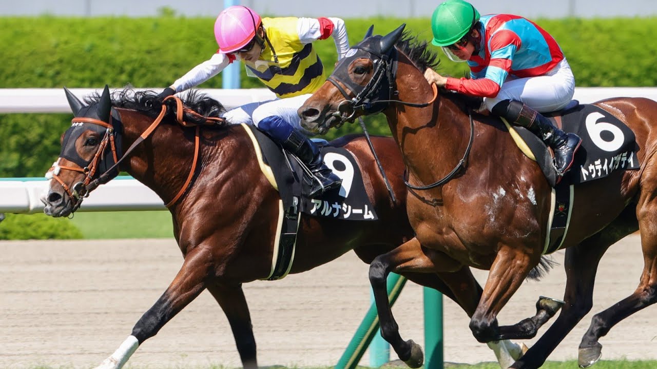 阪神10R垂水ステークス2023アルナシーム