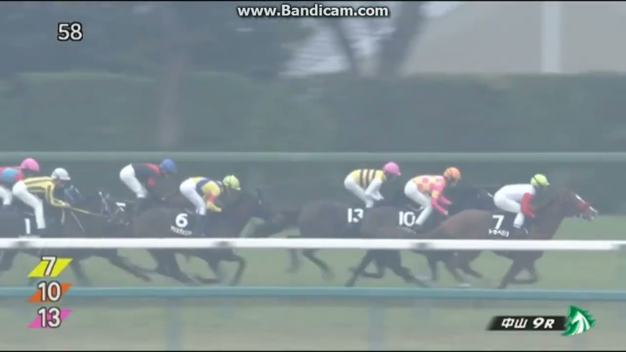 2023年1月14日　中山9R　菜の花賞 (3歳1勝クラス)　トラベログ