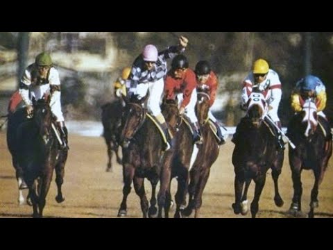 第１回　ジャパンカップ　メアジードーツ　牝５　55　C.アスムッセン　1981.11.22　　出走馬：フロストキング、ザベリワン、ペティテート、ゴールドスペンサー、ホウヨウボーイ、モンテプリンス他