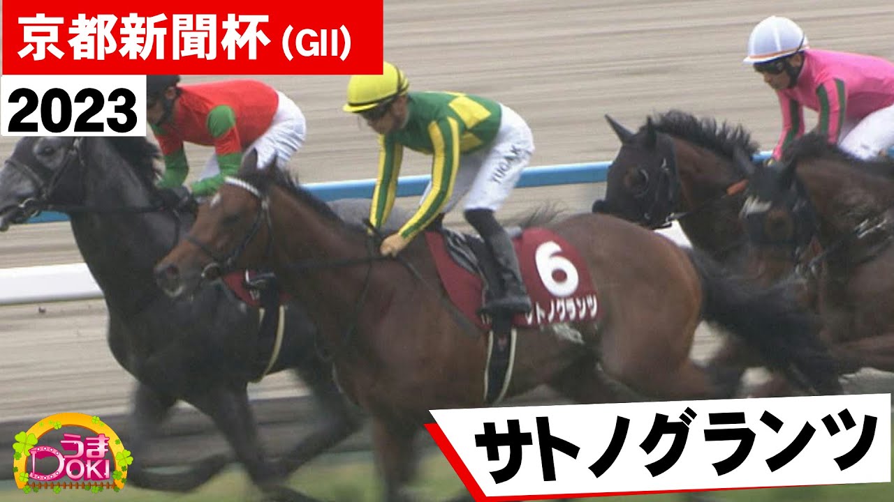 2023年 京都新聞杯（GⅡ） サトノグランツ　川田将雅 騎手「無事に届いて何よりです」