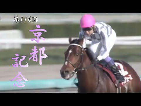 2023/02/12【パドック返し馬つき】阪神11R　京都記念（GⅡ）　　☆ドウデュース　ハーツクライ　＃レースは9分ころから
