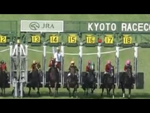 葵ステークス 2023 パトロールビデオ 【モズメイメイ】