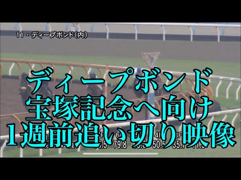 ディープボンド 宝塚記念へ向け1週前追い切り映像