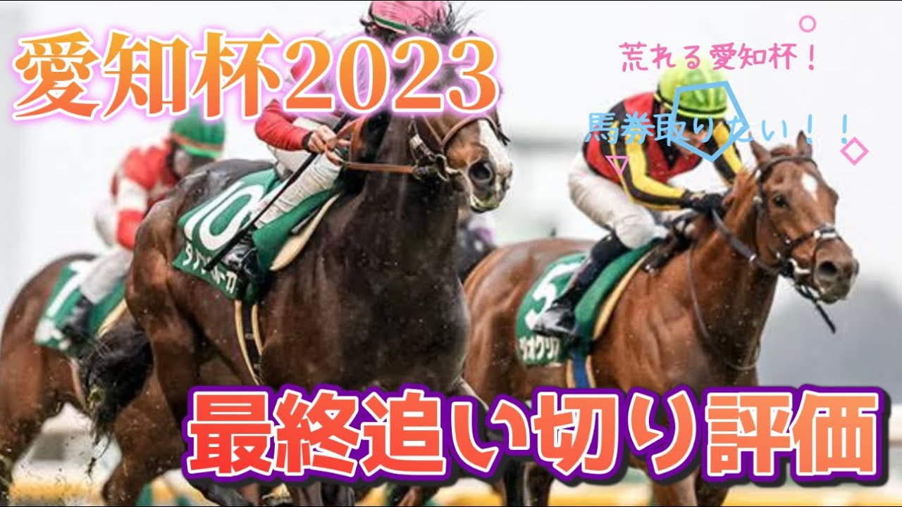 愛知杯2023 最終追い切り評価
