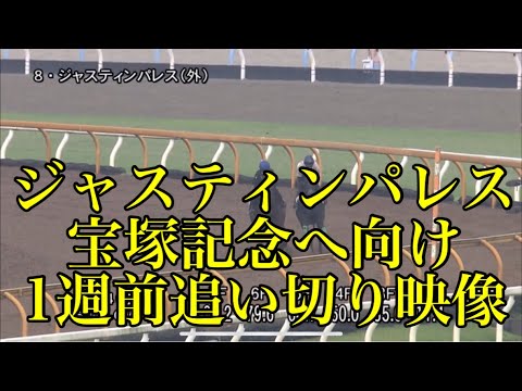 ジャスティンパレス 宝塚記念へ向け1週前追い切り映像