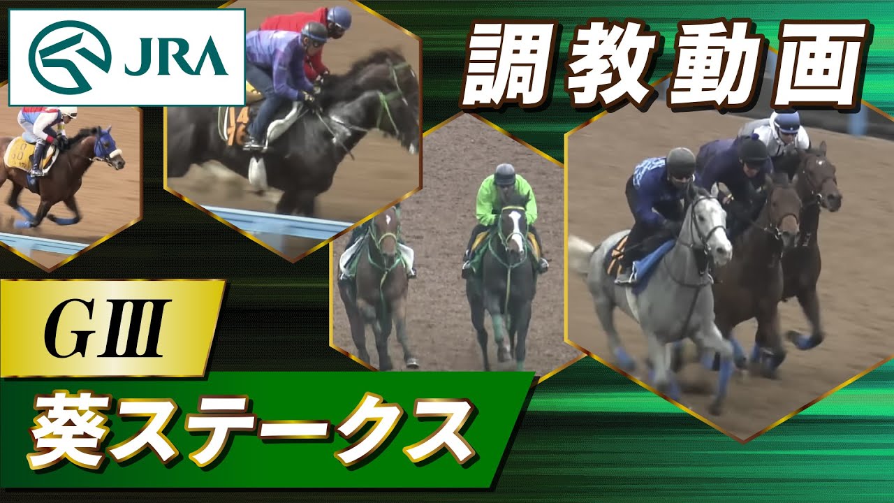 【調教動画】2023年 葵ステークス｜JRA公式