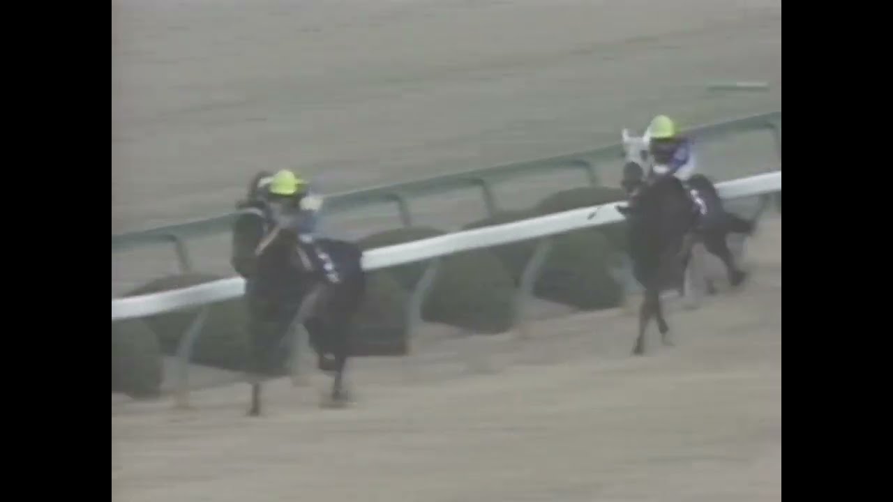 ダイタクヘリオス 1989年 第41回阪神3歳ステークス(GI) (優勝馬：コガネタイフウ) (実況：ラジオたんぱ)