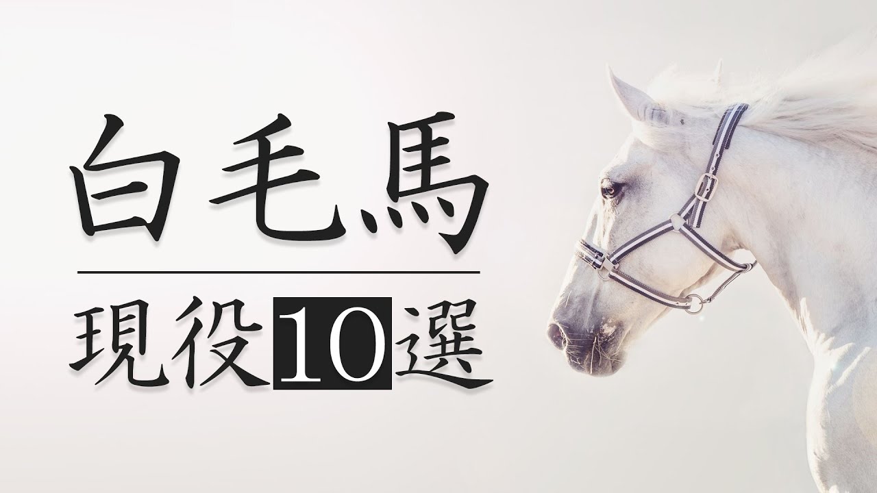 【現役のみ】競馬ファンが知っておくべき白毛の馬10選を解説します。