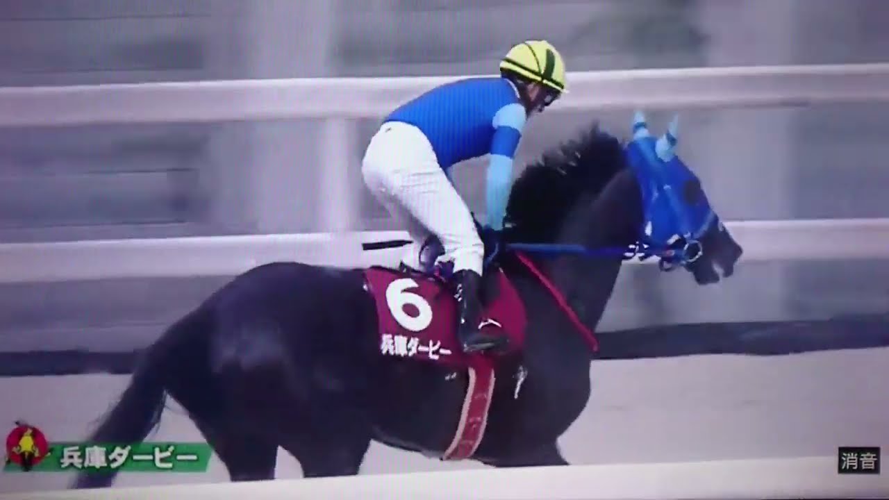 2023/06/14 第24回兵庫ダービー-スマイルミーシャ