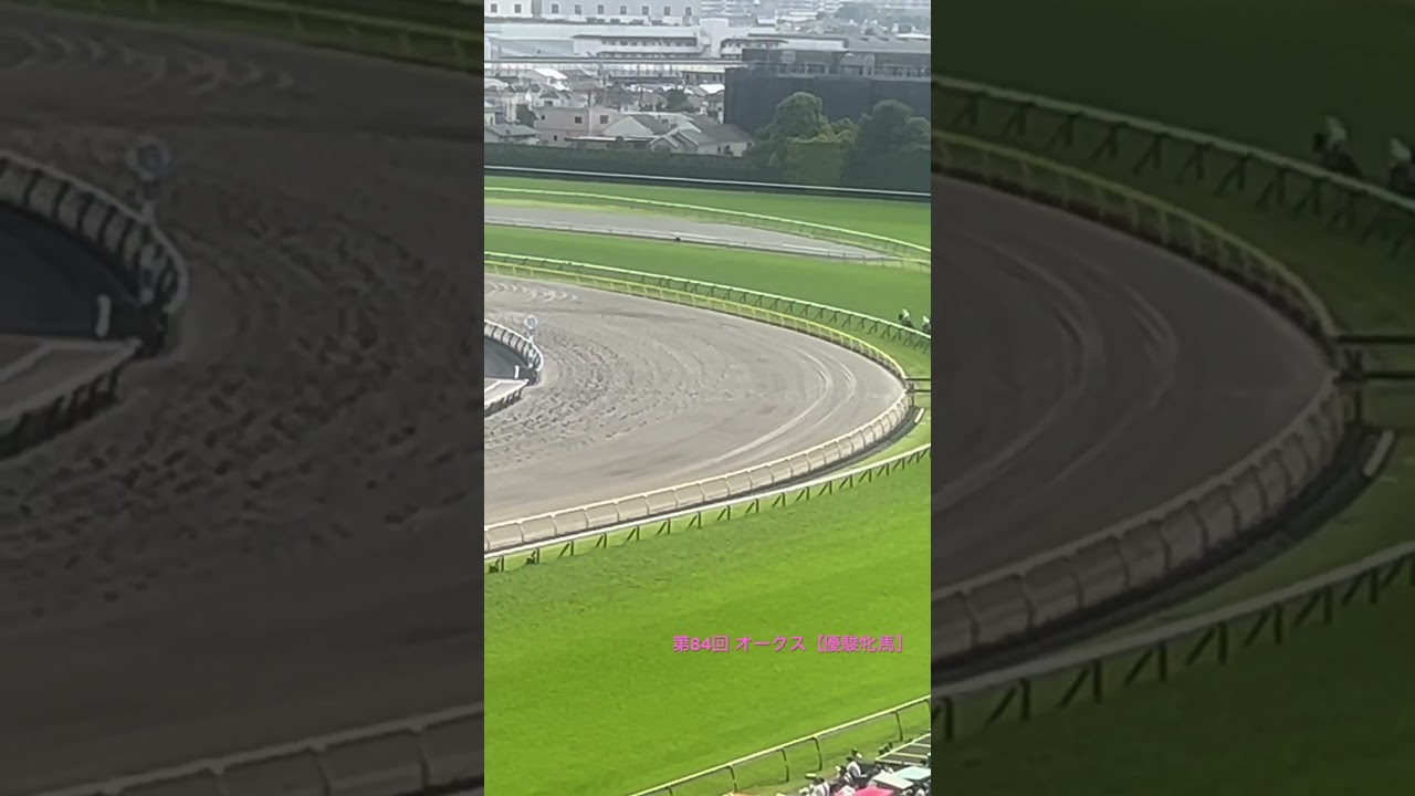 【オークス】一強のリバティアイランドの優駿牝馬 #shorts #オークス #リバティアイランド