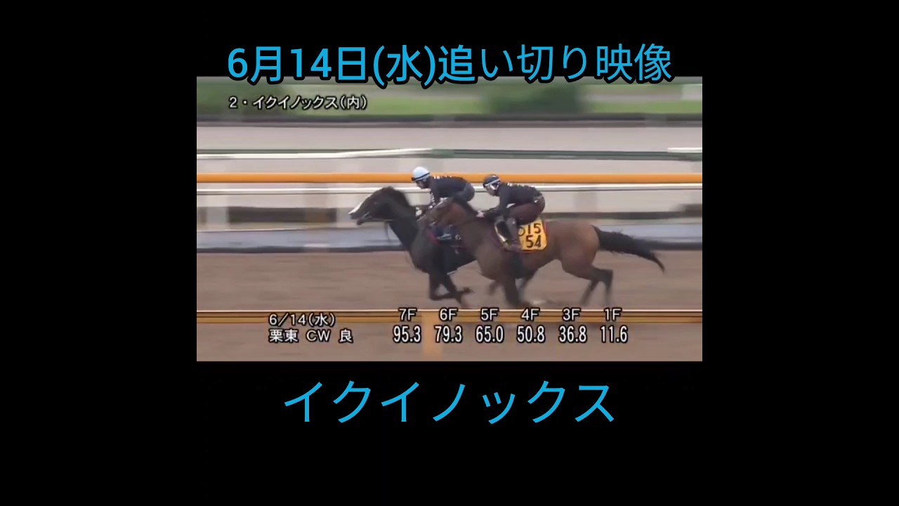 【宝塚記念】イクイノックス1週前追い切り映像 #イクイノックス #シルクホースクラブ #競馬 #追い切り #調教 #併せ馬 #映像 #コース #ウッドチップ #栗東 #ショート動画 #shorts