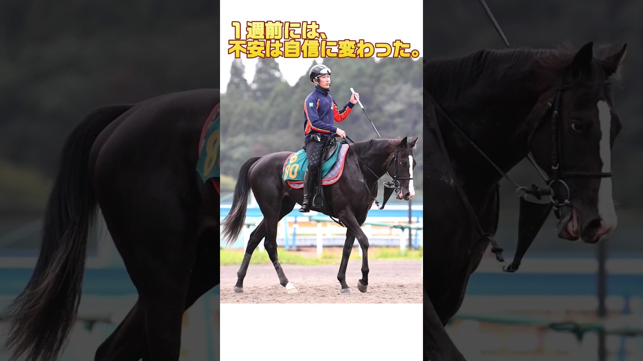 イクイノックス～天才の誕生【series イクイノックス vs ドウデュース】#競馬 #宝塚記念 #天皇賞秋 #ジャパンカップ #ルメール #武豊 #木村哲也調教師