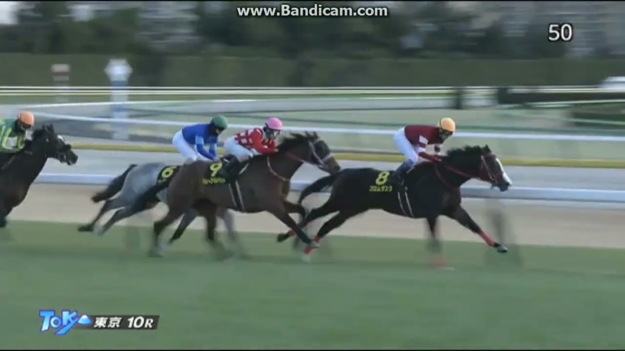2023年1月28日　東京10R　クロッカスステークス (L)　ヤクシマ