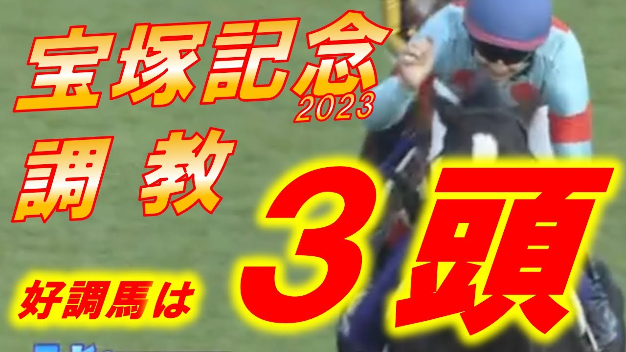 好調馬はここでチェック‼　宝塚記念2023　追い切り診断　イクイノックスのグランプリ連覇なるか！？　太刀打ち出来る馬は…！？　元馬術選手のコラム【競馬】