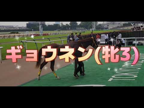 ギョウネン(牝3)の口取り 木幡 初也騎手の大サイン会も