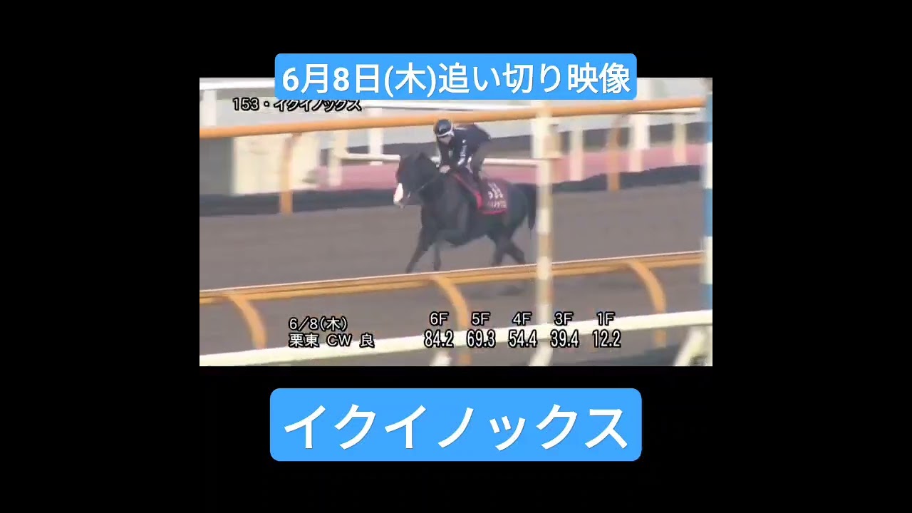 【宝塚記念】6月8日(木)イクイノックスの追い切り映像 #イクイノックス #宝塚記念 #調教 #追い切り