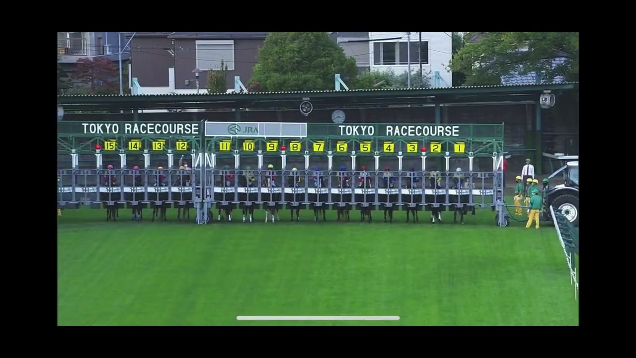 イクイノックス国内全レース　新馬戦〜有馬記念