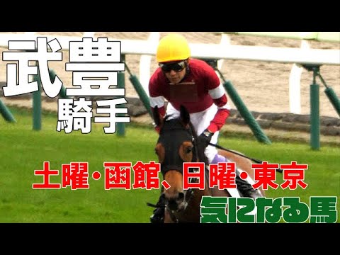 【武豊】今週はユニコーンステークス・ニシキギミッチーに騎乗！土曜・函館8鞍、日曜・東京5鞍で気になる馬
