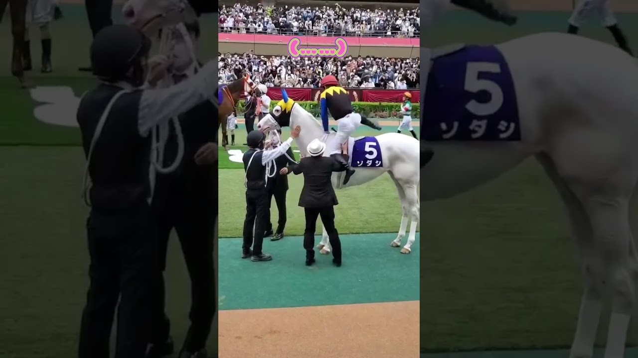 ソダシが突然動かなくなる #競馬 #ソダシ #かわいい