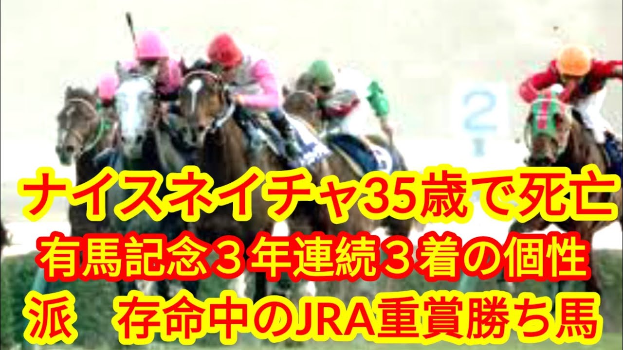 ナイスネイチャ35歳で死亡　有馬記念３年連続３着の個性派　存命中のJRA重賞勝ち馬で最高齢