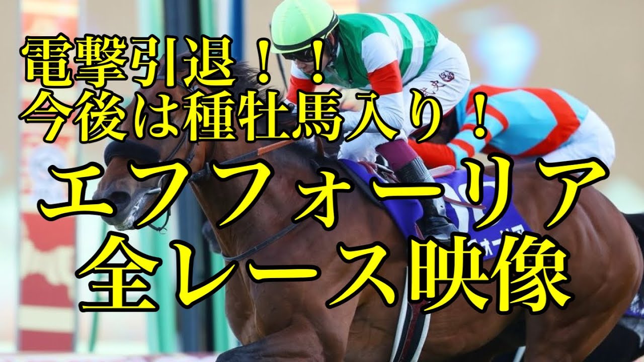 【エフフォーリア】全レース映像