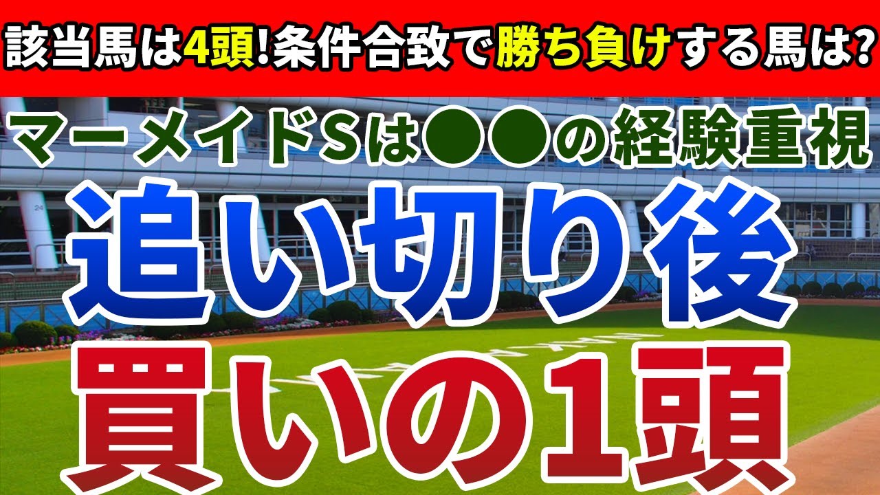マーメイドステークス2023 追い切り後【買いの1頭】公開！好走脚質と今開催の馬場状態を徹底分析！重賞のペースが後押しとなる一頭とは？