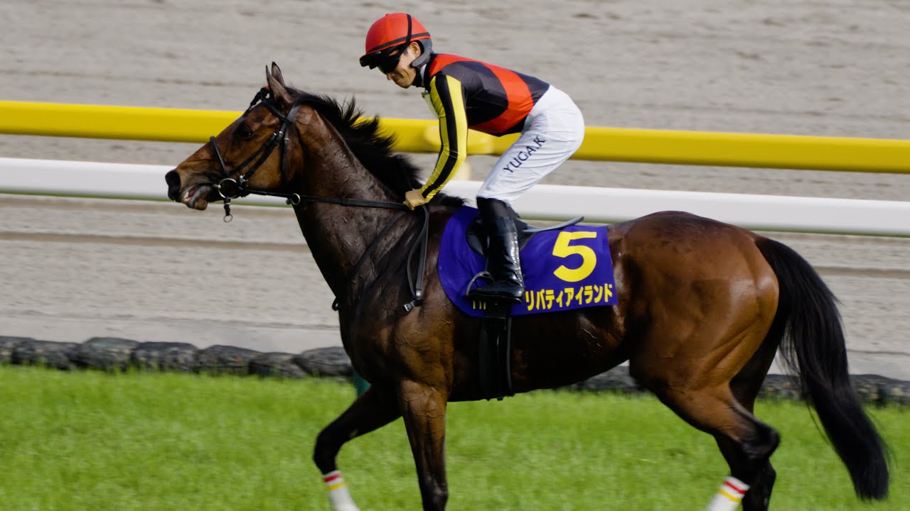 第84回優駿牝馬　リバティアイランドを見に東京競馬場に行ってきました！！【現地映像】