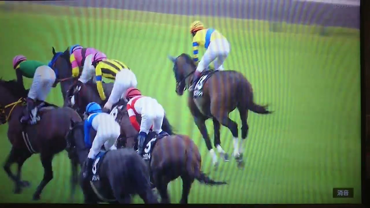 2023/06/10 東京11RジューンS(3歳上3勝Cハンデ)-サクセスシュート