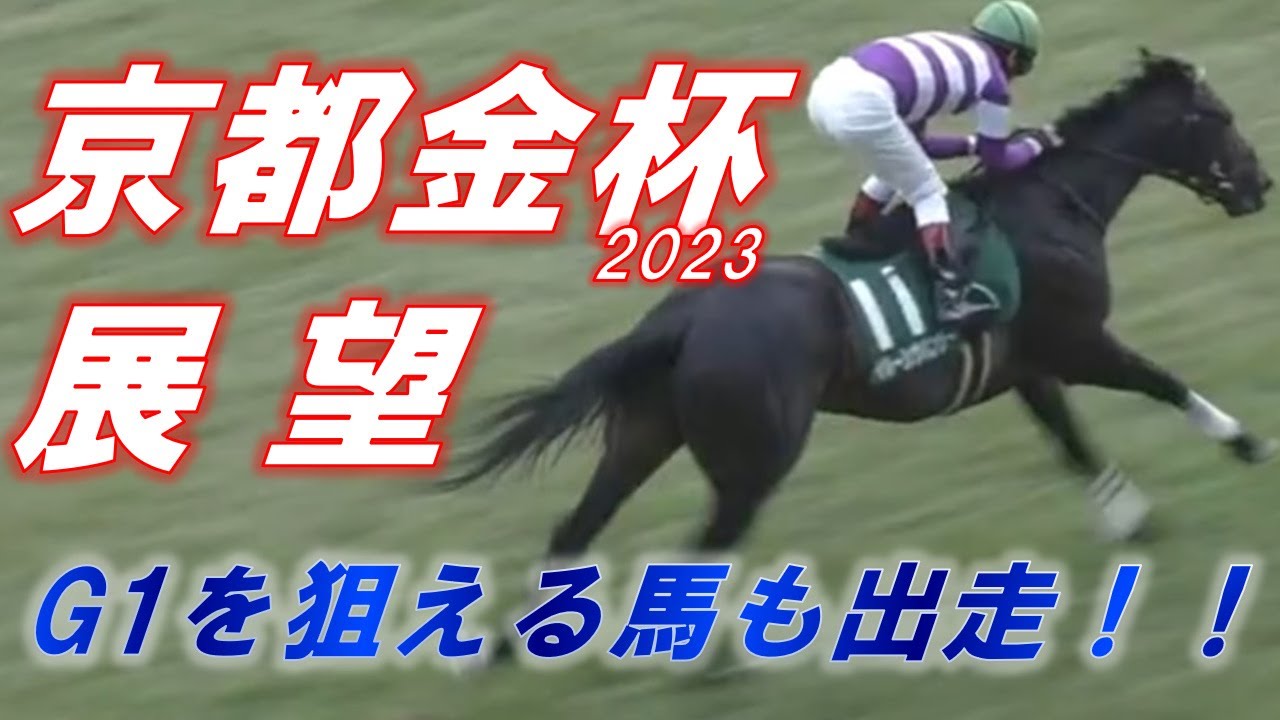京都金杯2023　展望　イルーシヴパンサー。マテンロウオリオン等GⅠを狙える馬が出走！　注目穴馬も１頭！　元馬術選手のコラム【競馬】