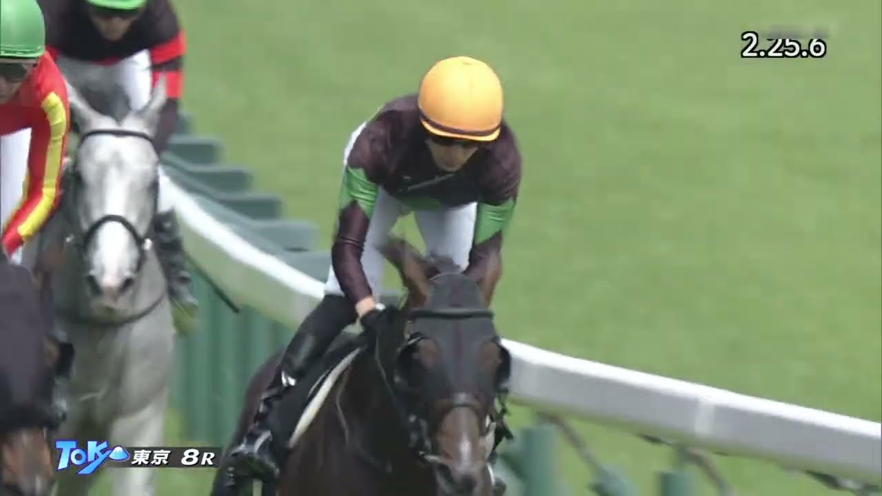2023 05 28 東京8R 青嵐賞 ドリームインパクト(坂井瑠星)