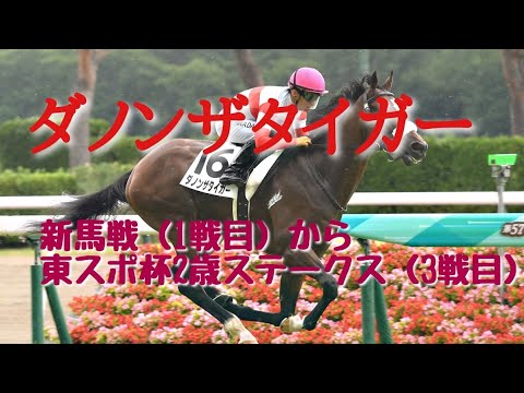 【現役競走馬】 ダノンザタイガー　レースまとめ　メイクデビュー(1戦目)～東スポ杯2歳ステークス(3戦目)
