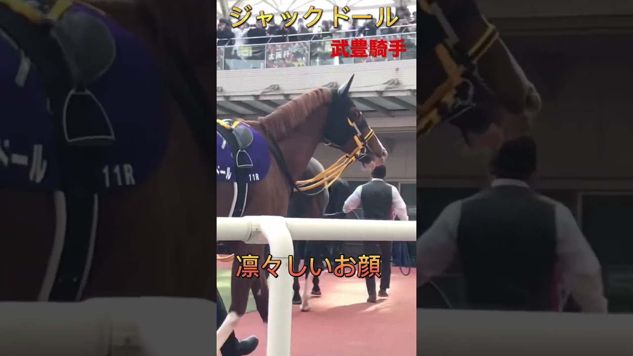 ジャックドール＆武豊騎手大阪杯勝利おめでとう#競馬 #武豊 #ジャックドール