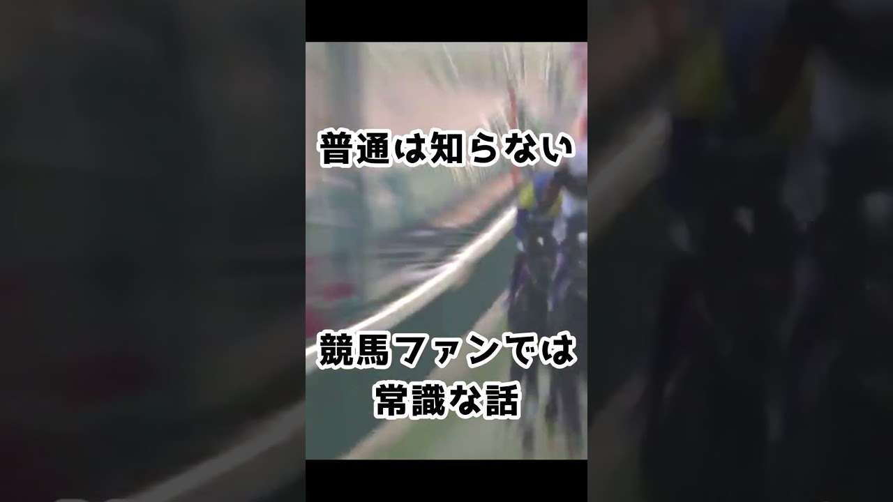 競馬の豆知識　歴史上、日本一短い競走馬の名前！　#shorts