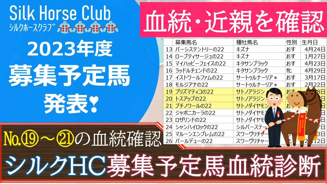 【一口馬主】2023年シルク募集予定馬⑲～㉑！サトノアラジン産駒の適性は？「血統・近親を事前に確認」本番へ向けての準備