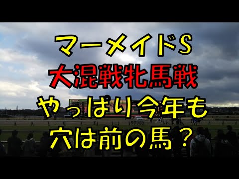 ２０２３年　マーメイドS予想【大好き牝馬限定戦　今年も混戦で面白い　狙いは　斤量〇〇の馬　】