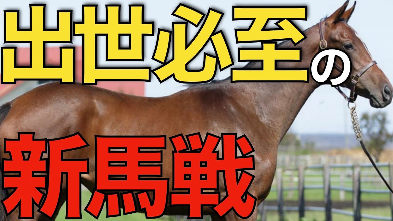 【全頭必見】G1馬を3年連続輩出の超出世新馬戦！出る馬は全て覚えておきたい。